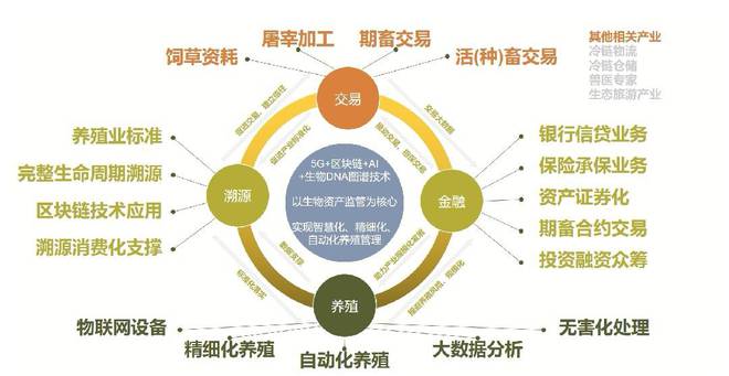 基于區(qū)塊鏈技術(shù)的中國農(nóng)畜產(chǎn)品質(zhì)量安全可追溯體系簡析——兼論品牌管理價(jià)值